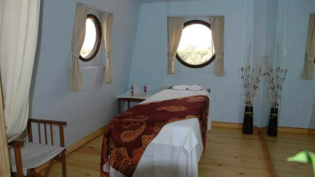 رحلة الباخرة نايل دولفين